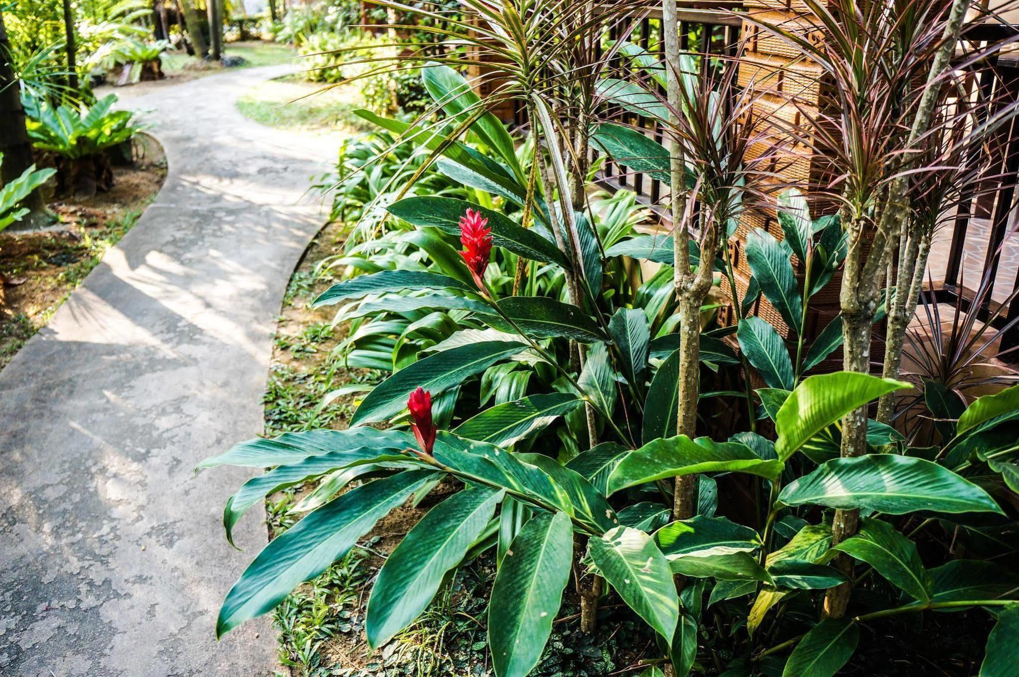 Tanamas House Hotel Thalang Exterior photo